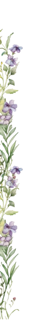 Bingkai Kiri